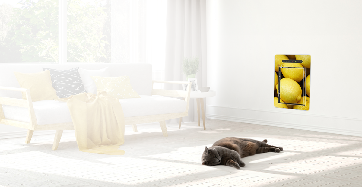 Katze schläft in einem Stilvoll eingerichteten Wohnzimmer neben einer peppigen petWALK Tür im Zitronen-Design.