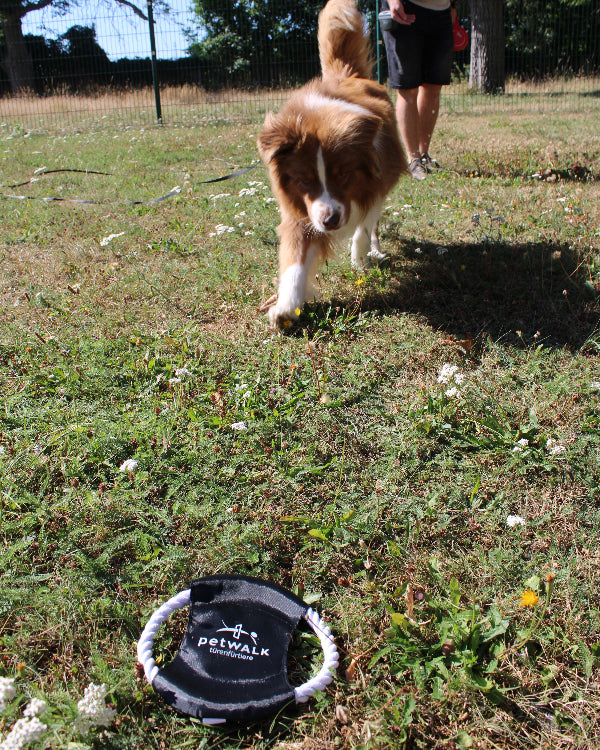 Disque à lancer pour chien petWALK